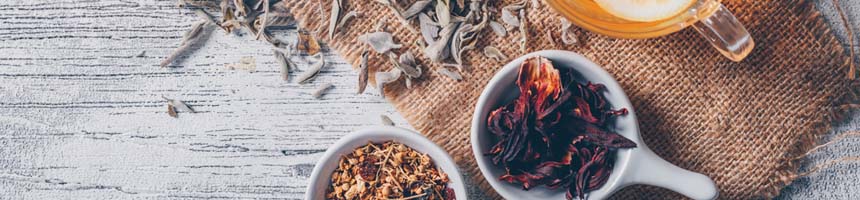 infusionsbien